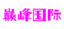 四川省绵阳市巅峰国际信息发展有限公司